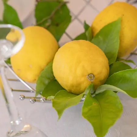 Lejlighed Marelic - Sun