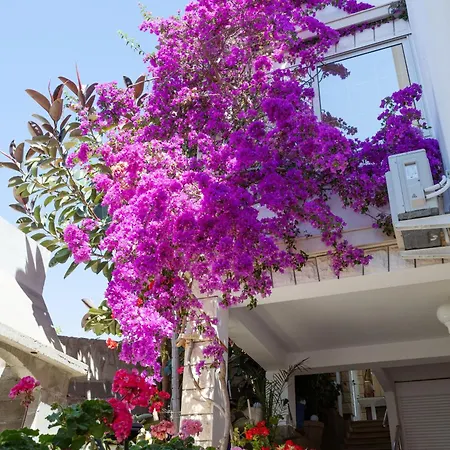 Marelic - Sun * 자발라티카